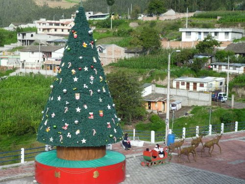 001 Otovalo Xmas Tree 4th Jan 2012.jpg